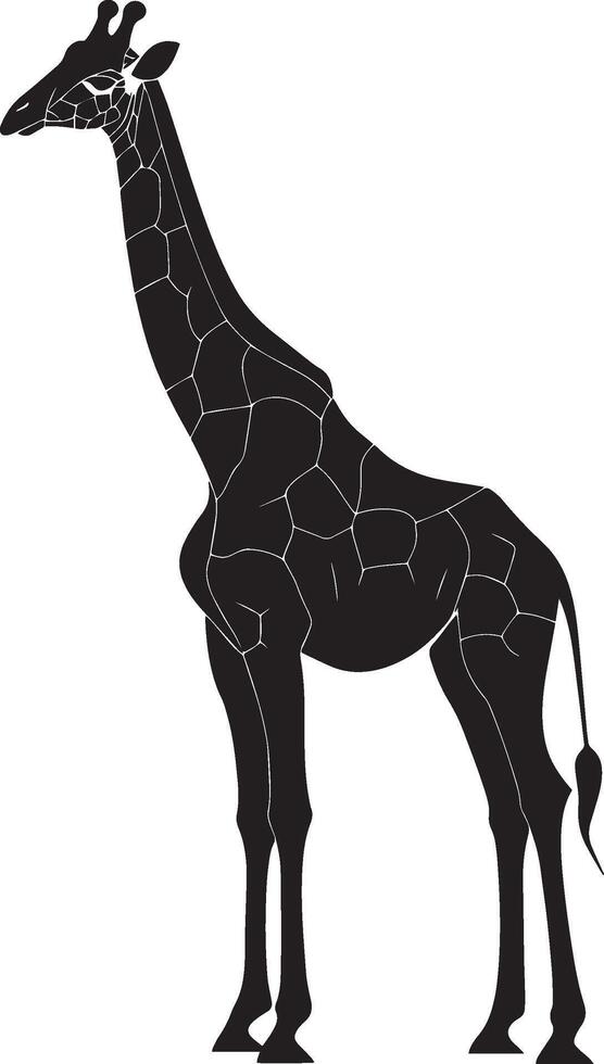 Giraffe Standing Tall and upright, neck extended, legs straight, black silhouette . vector