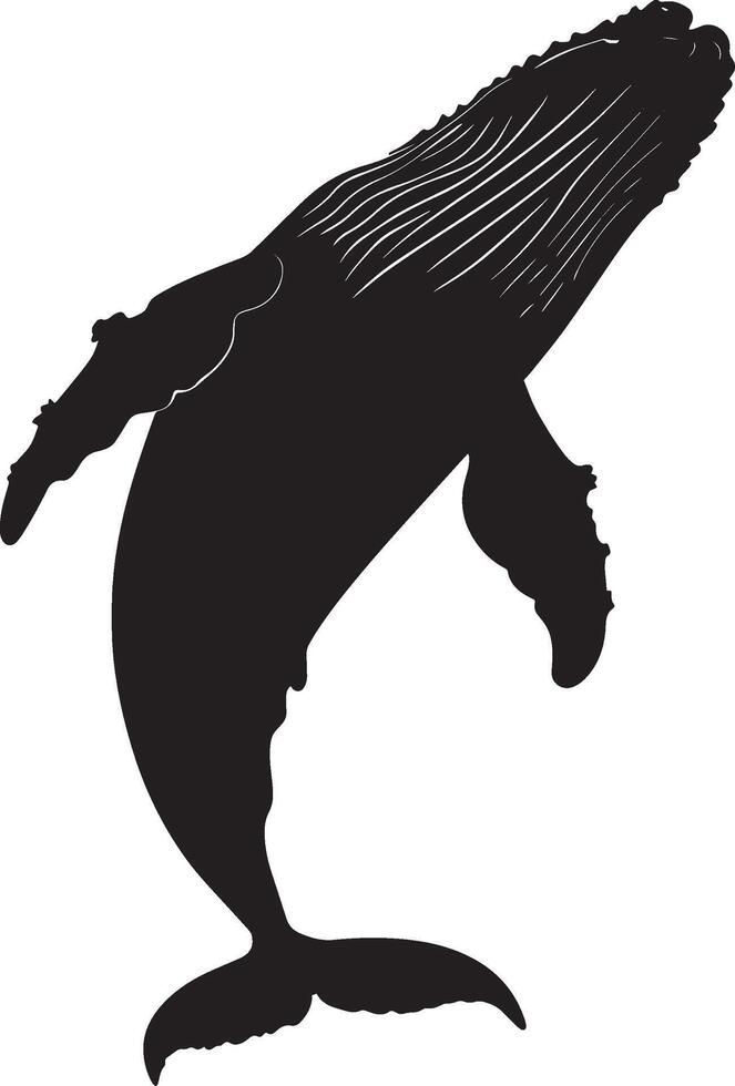 Whale Flipping Front of the body arched upward, flippers spread out. full length silhouette black illustration vector
