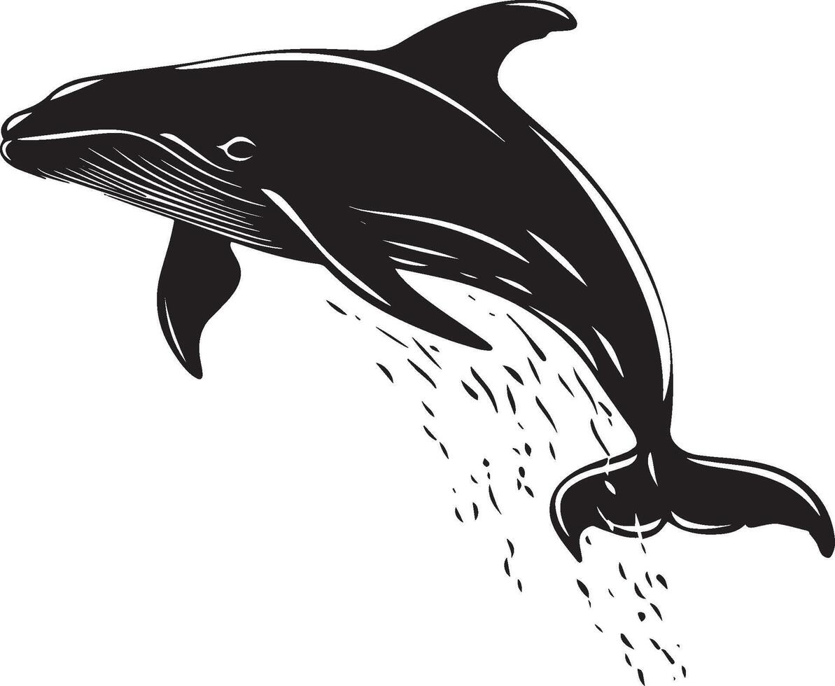 Whale Leaping Front of body arched, flippers spread out, silhouette illustration. vector