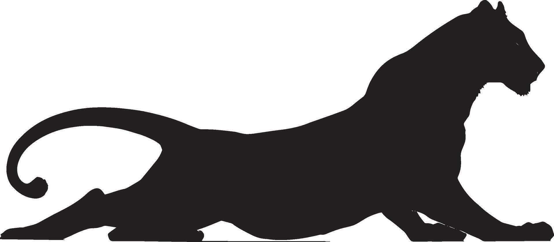 Lion Stretching Front legs extended, back arched, tail flicking. full length silhouette black illustration vector