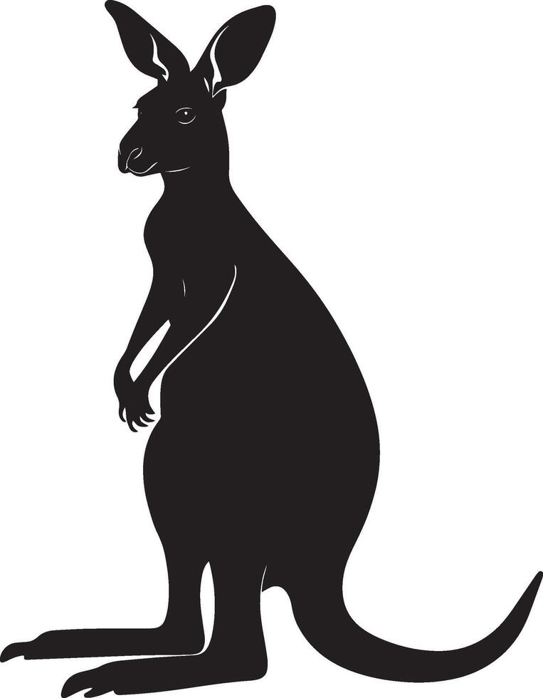 Kangaroo Standing Upright on hind legs, tail supporting balance, front paws relaxed. full length silhouette black illustration vector