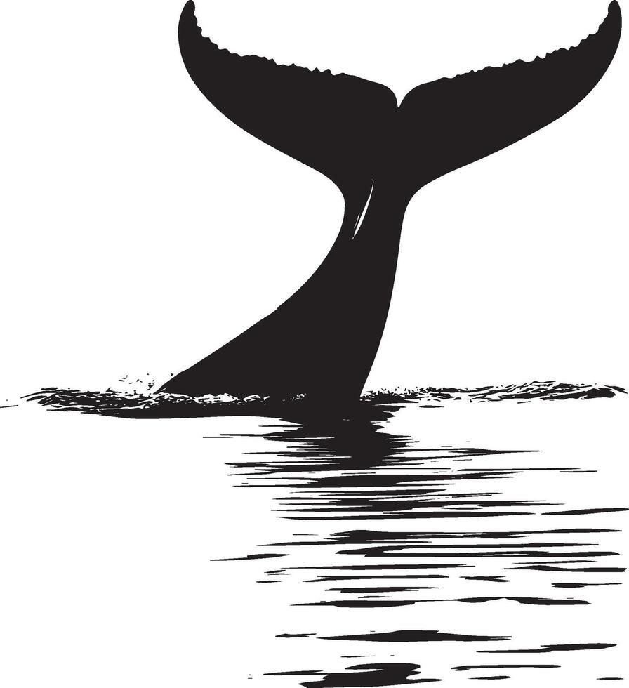 Whale Diving Body descending into the water, tail raised in a curve. full length silhouette black illustration vector