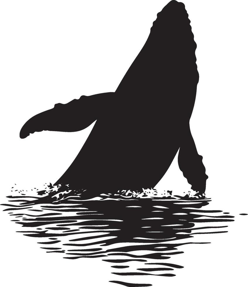 Whale Surfacing Head and back partially above water, tail visible beneath the surface. full length silhouette black illustration vector
