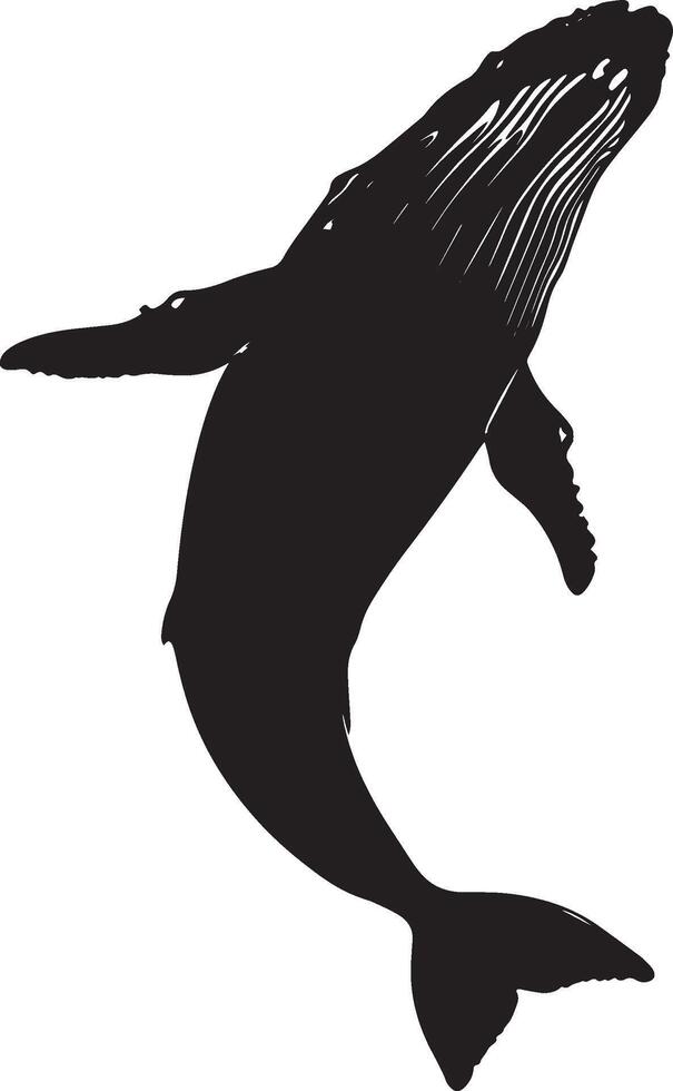 Whale Feeding Mouth wide open, head submerged, body angled downward. full length silhouette black illustration vector