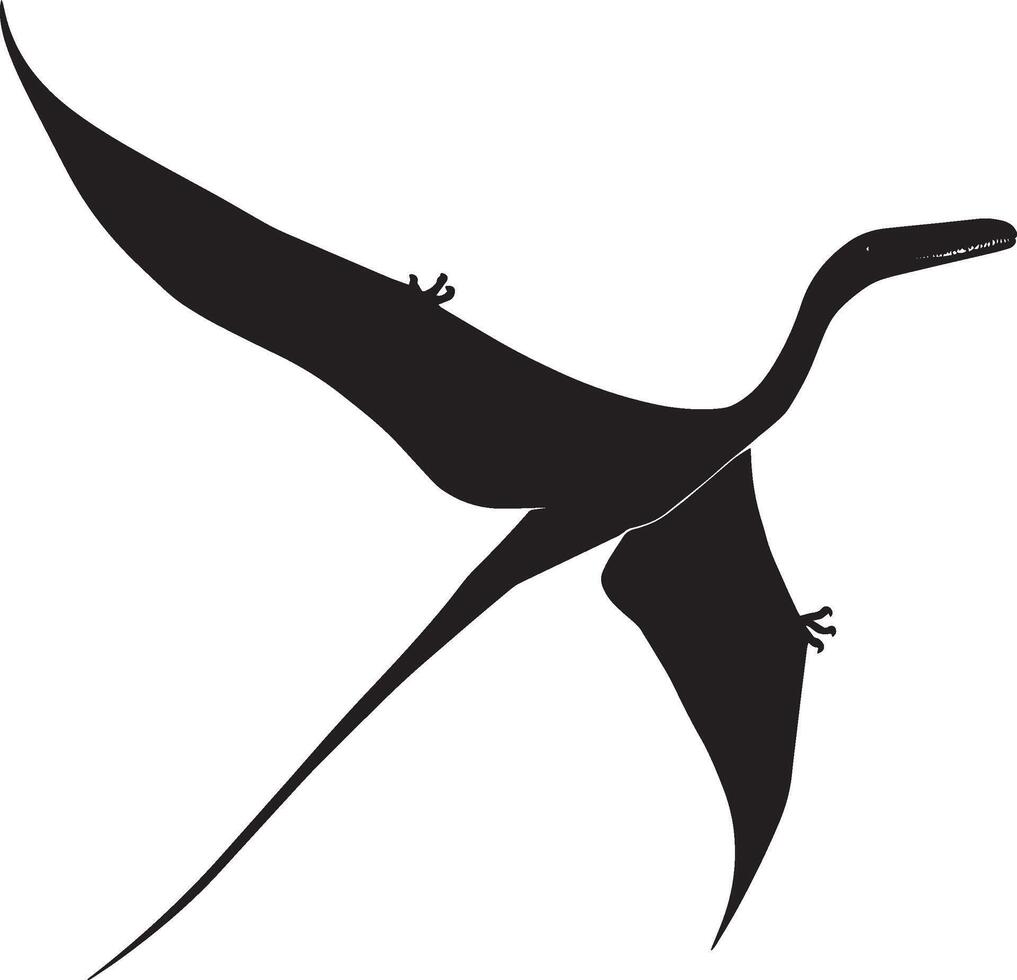 Pteranodon A sizable flying reptile featuring a long neck, toothless beak, and extensive wingspan, full-length black silhouette illustration. vector