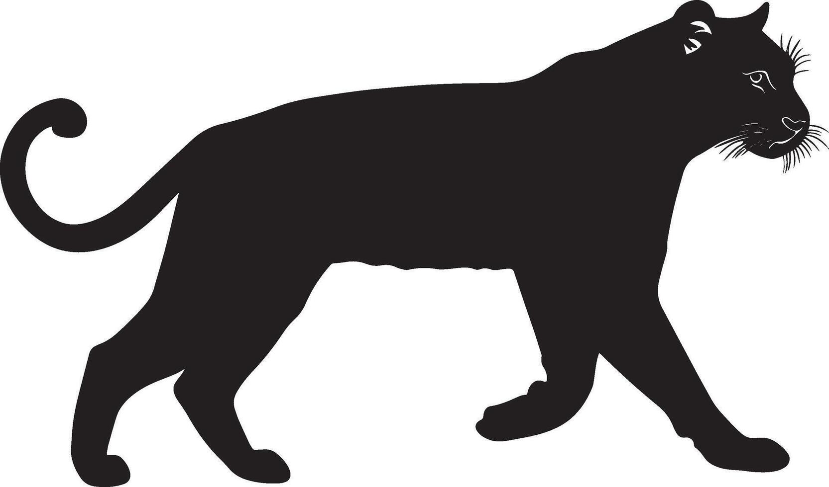 Tiger Walking One paw lifted, body in mid-stride, tail trailing. full length silhouette black illustration vector