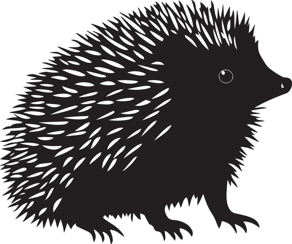 Hedgehog Upright Tall and sturdy posture, legs grounded, trunk slightly elevated or relaxed, full-length black silhouette illustration. vector