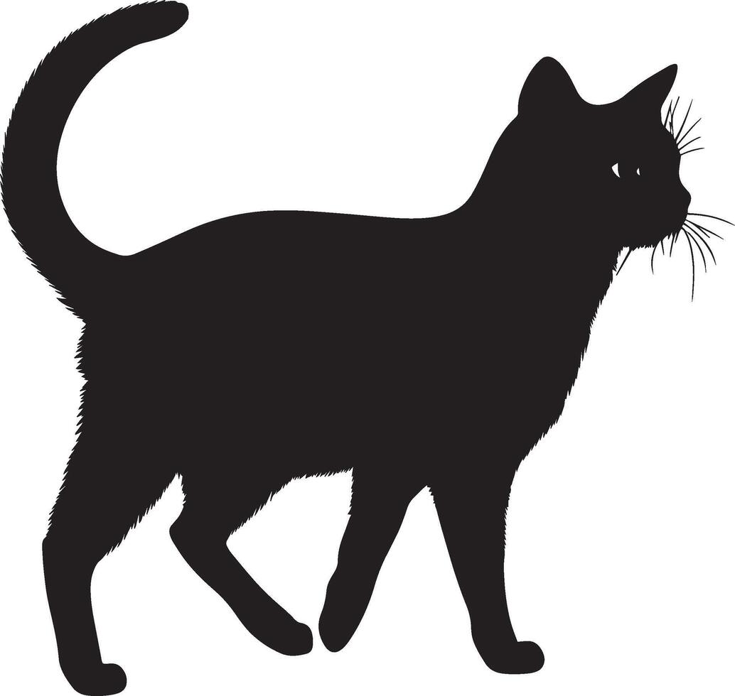 Happy Cat with Tail Up Silhouette A confident cat striding with its tail held high, full-length black silhouette illustration. vector