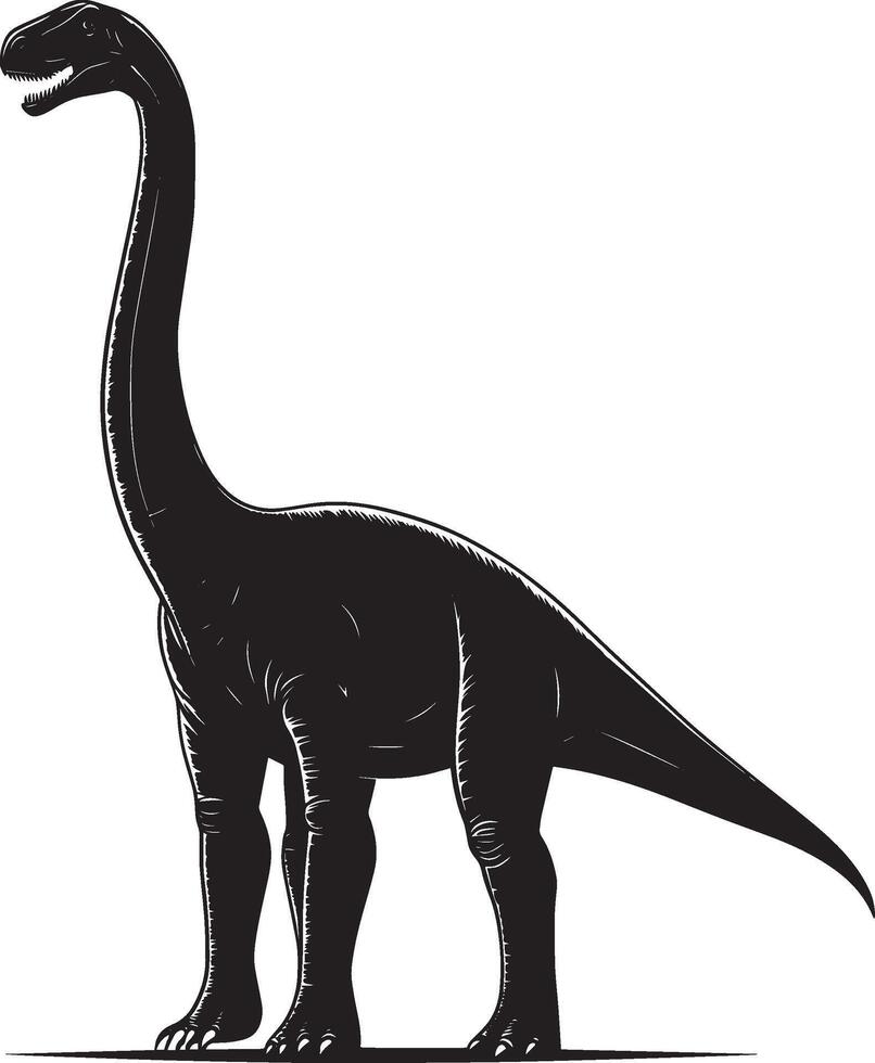 Brachiosaurus - A giant quadrupedal herbivore with a long neck, large body, and relatively short tail. full length silhouette black illustration vector
