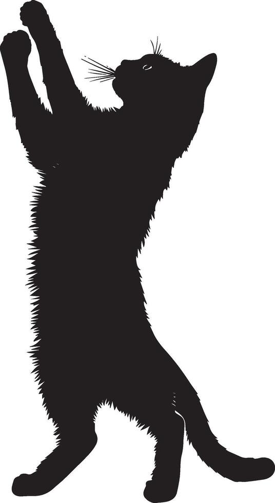 Cat Batting at Toy Silhouette A cat upright on its hind legs, swiping with one paw at a toy, full-length black silhouette illustration. vector
