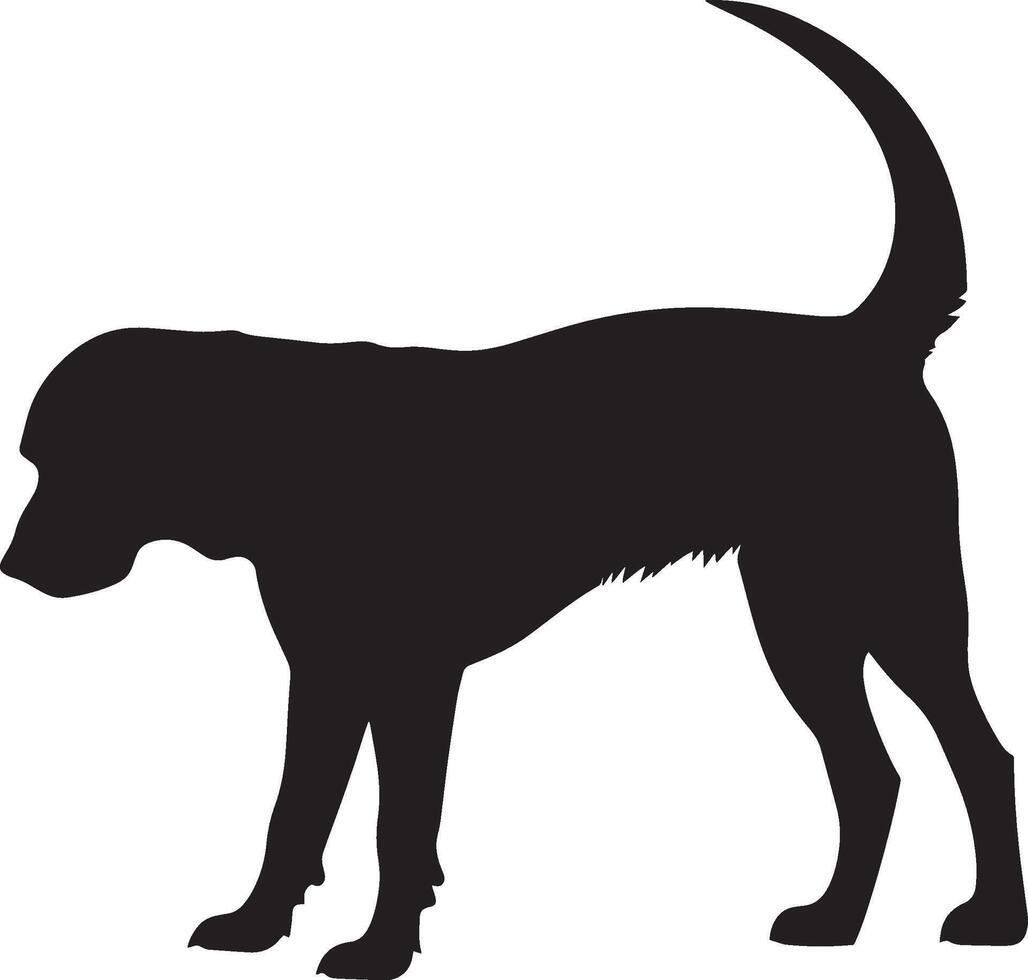 Sniffing Dog Silhouette A dog with head lowered, tail up, sniffing the ground. full length silhouette black illustration vector