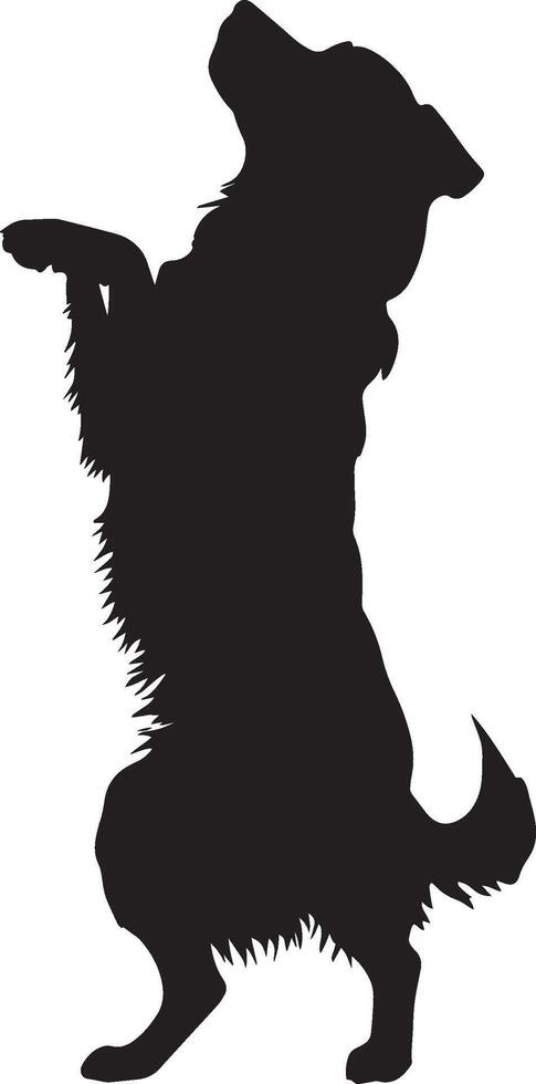 Dog Balancing on Hind Legs Silhouette A dog standing upright with its front paws lifted, full-length black silhouette illustration. vector