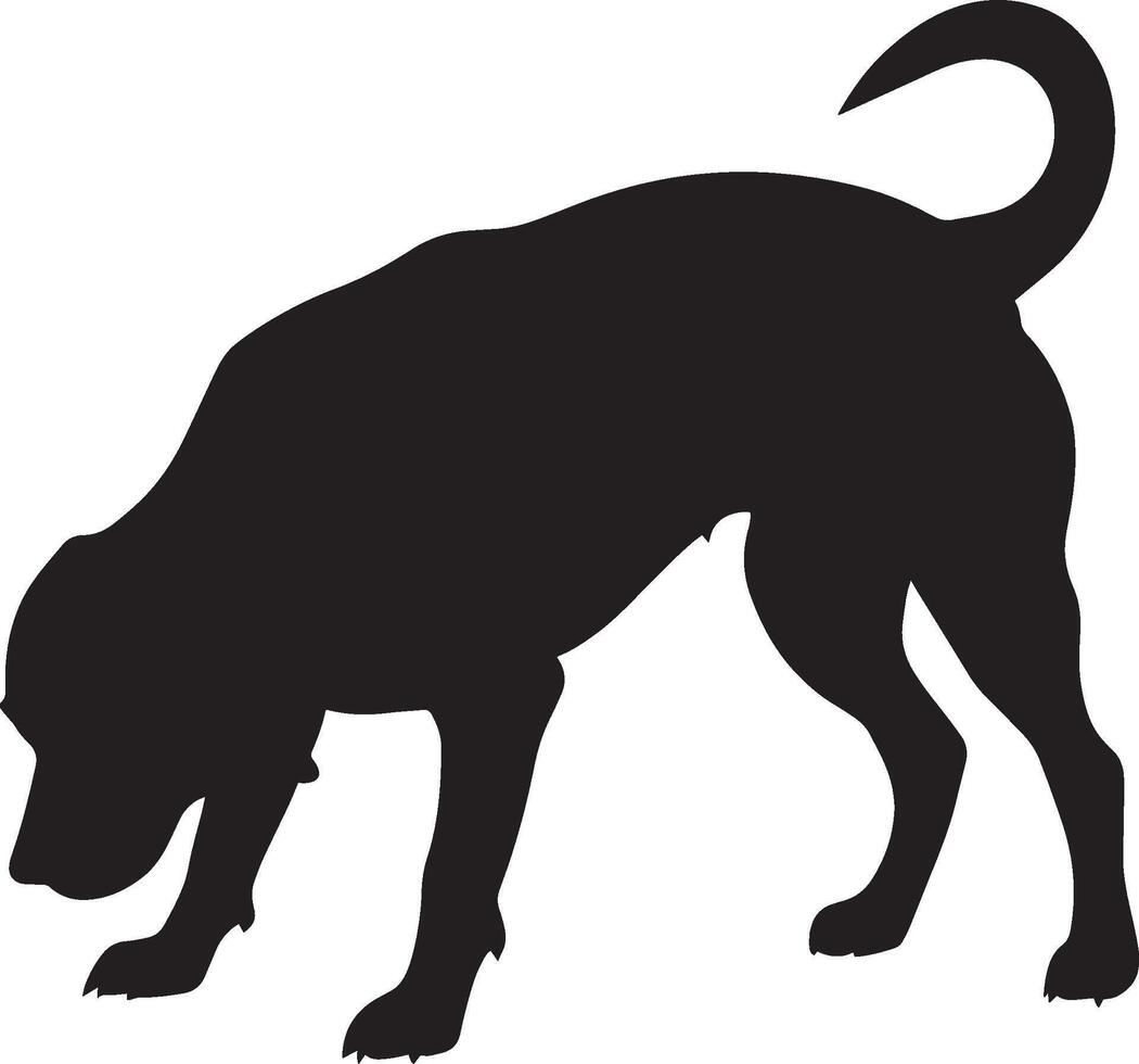 Dog Sniffing the Ground Silhouette A dog with its head lowered and tail raised, intently sniffing the ground, full-length black silhouette illustration. vector