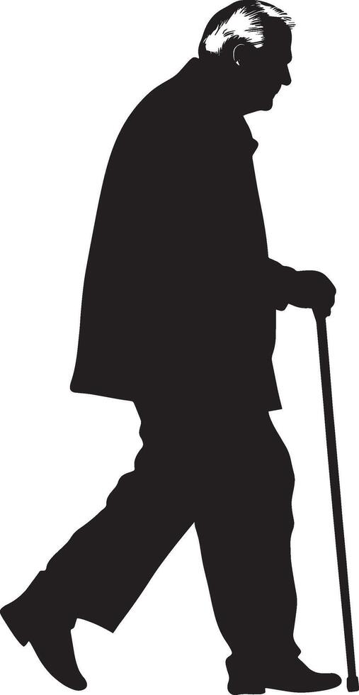 Elderly man walking with a cane, posture slightly forward, shown in a full-length silhouette. vector