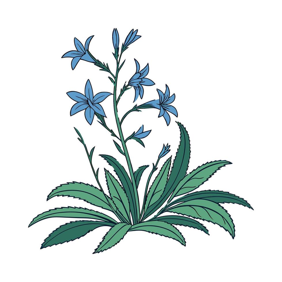 Fresh Lobelia Plant on White Surface vector