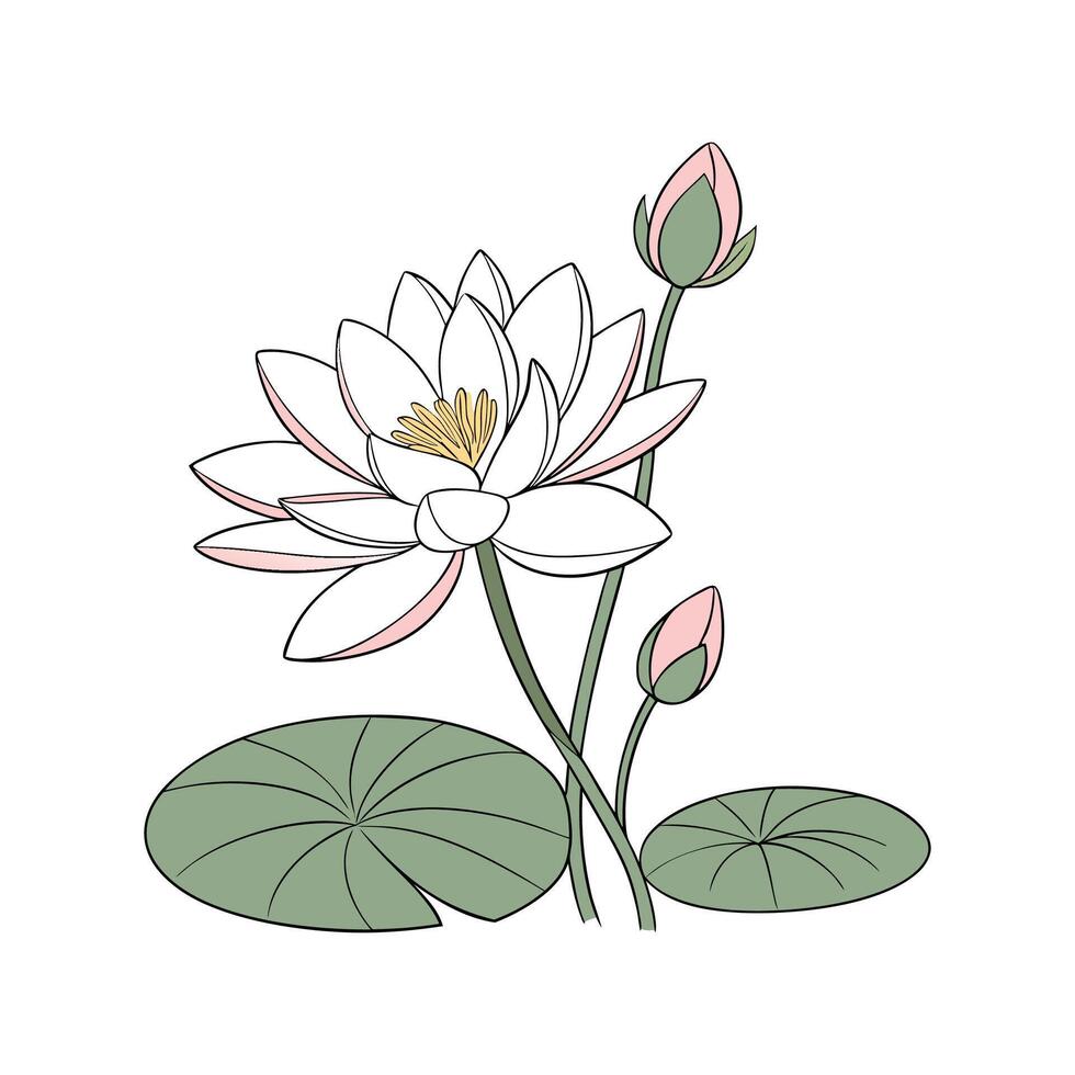 Elegant Lotus Plant on Bright Surface vector