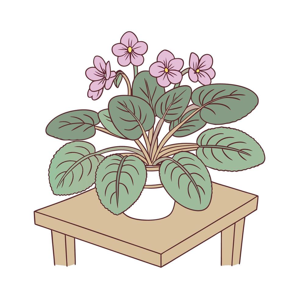 Delicate African Violet on White vector