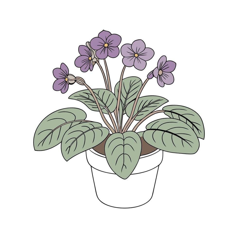 Vibrant African Violet on White vector