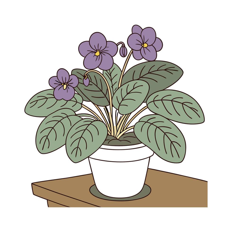 Lovely African Violet on White vector