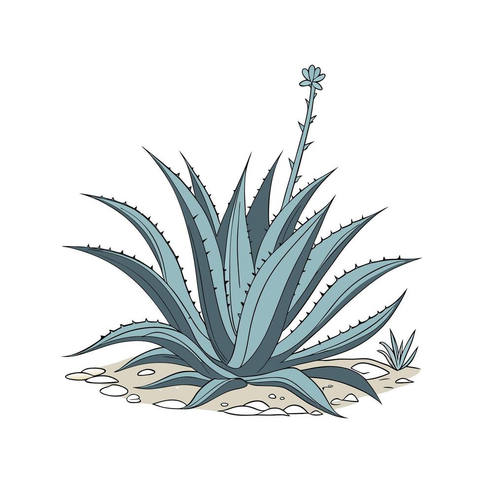 Vibrant Agave on White Canvas vector