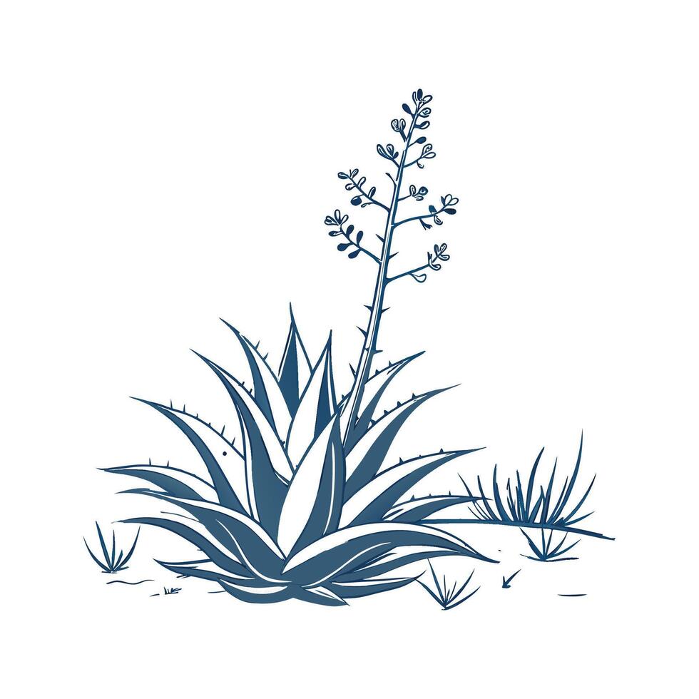 Elegant Agave Plant Display vector