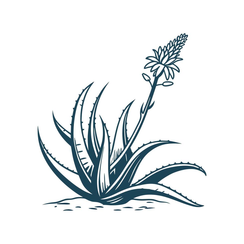 Elegant Aloe Vera with Bold Outline vector