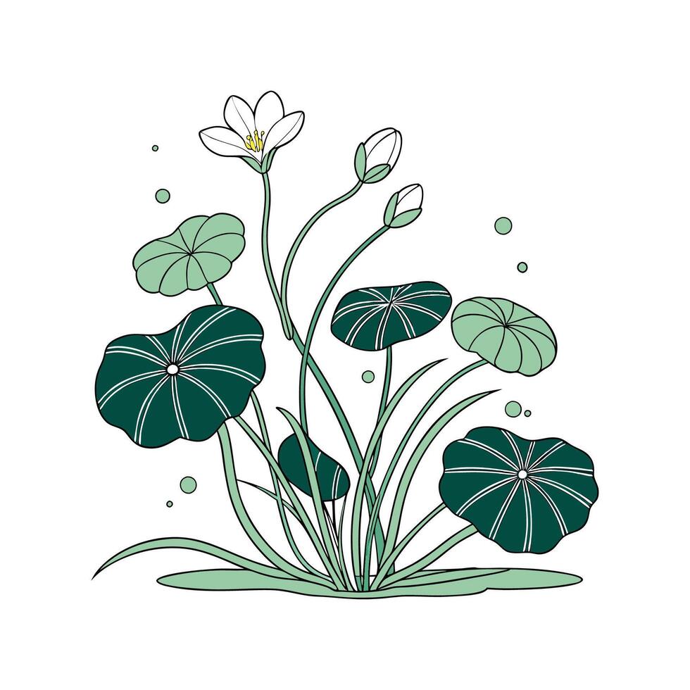 Elegant Aquatic Plant Display on White vector