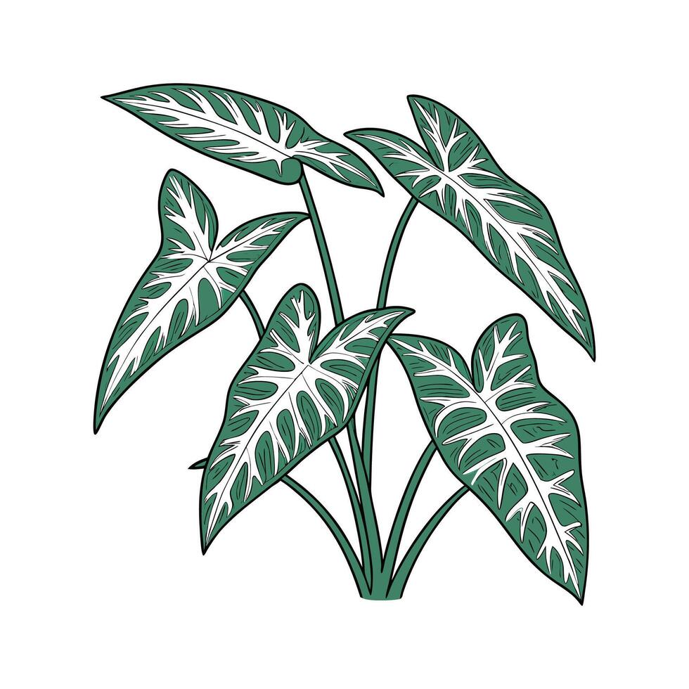 Stylish Arrowhead on White Canvas vector
