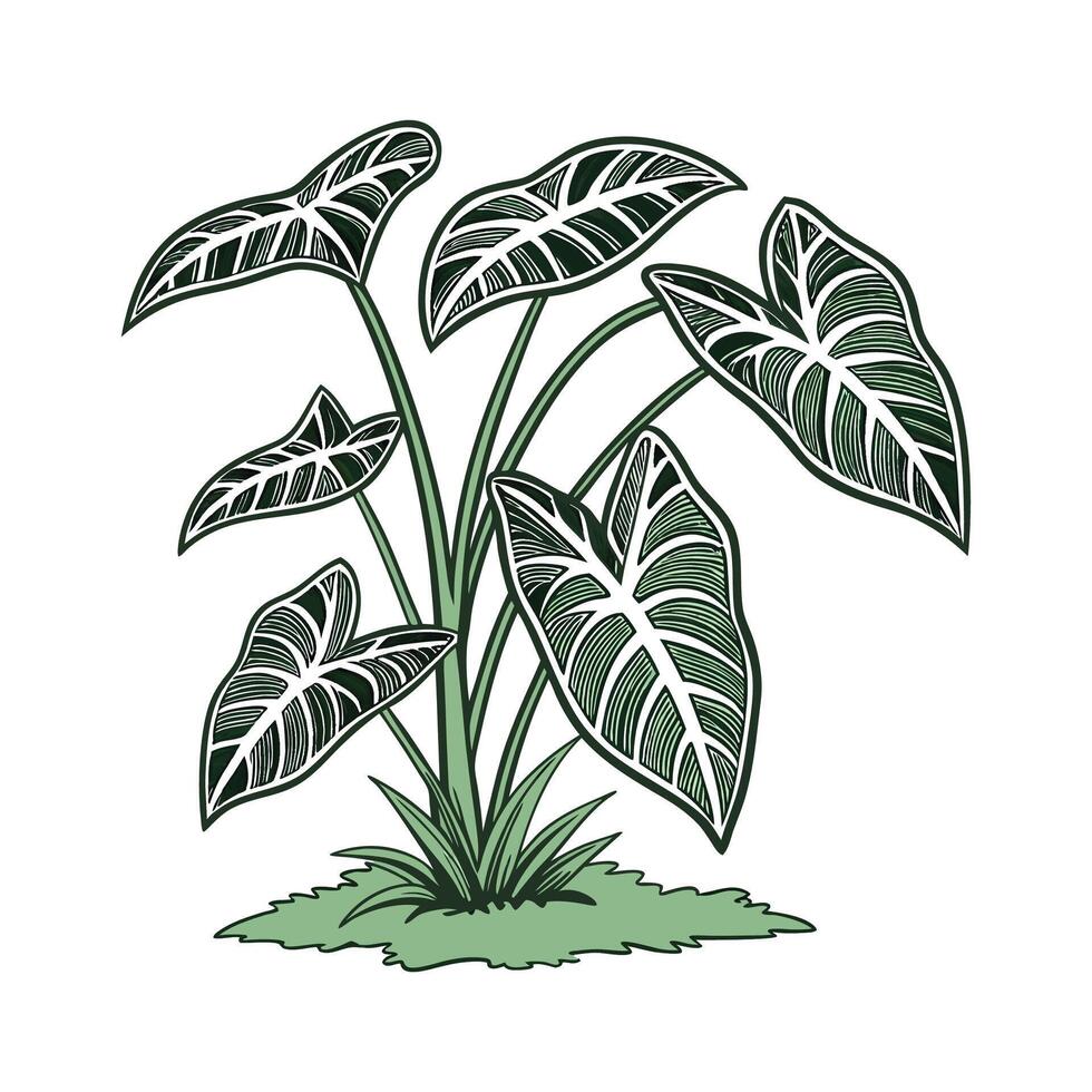 Vibrant Arrowhead on White Surface vector