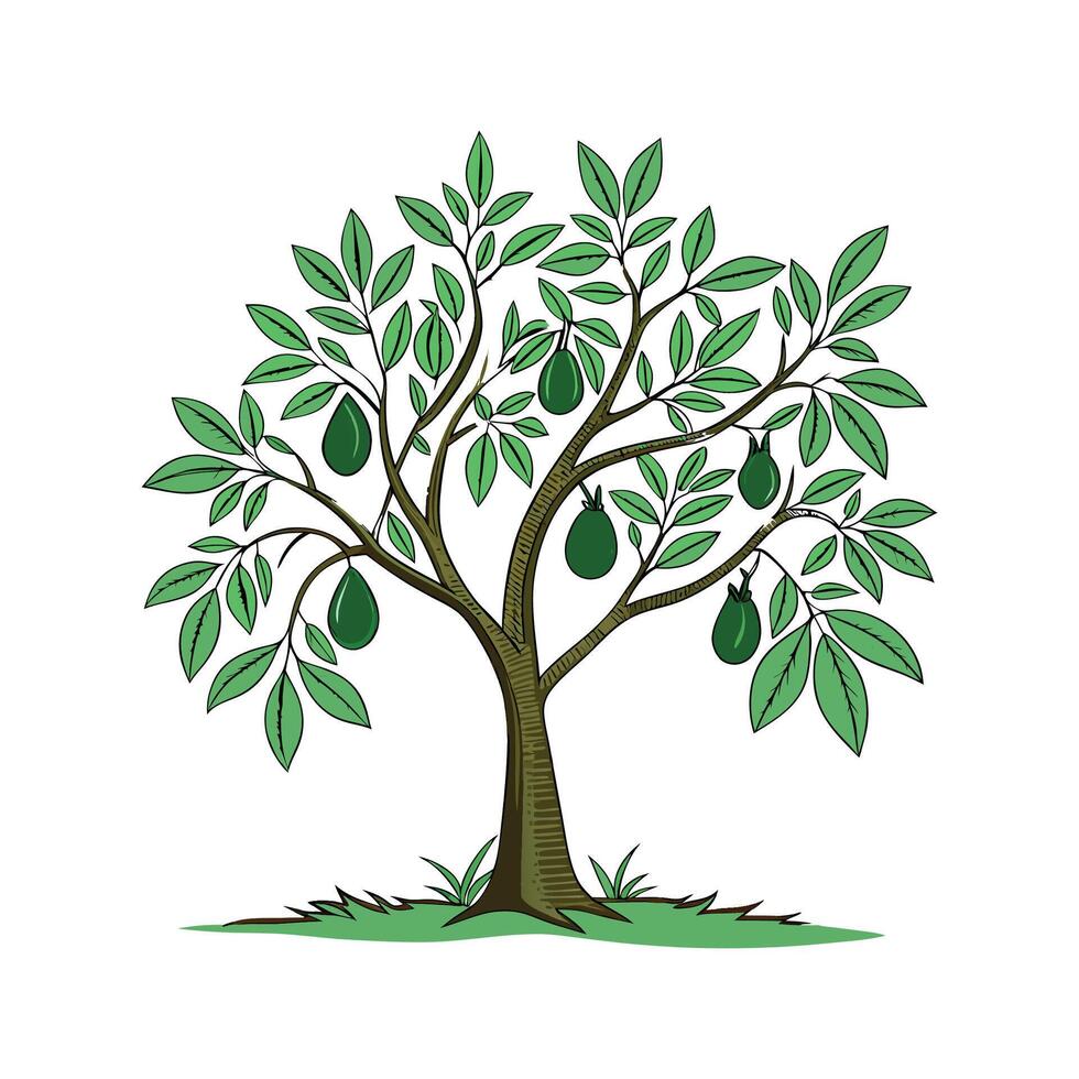 Stylish Avocado Tree on White Canvas vector