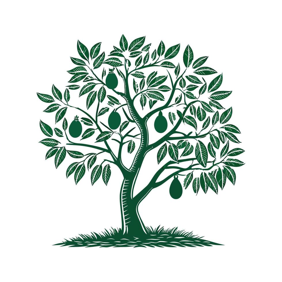 Elegant Avocado Tree Display on White vector