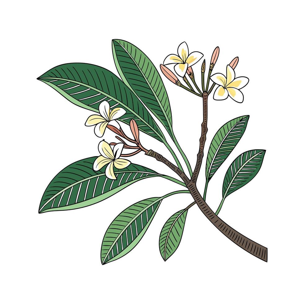 Elegant Balinese Plant Display vector