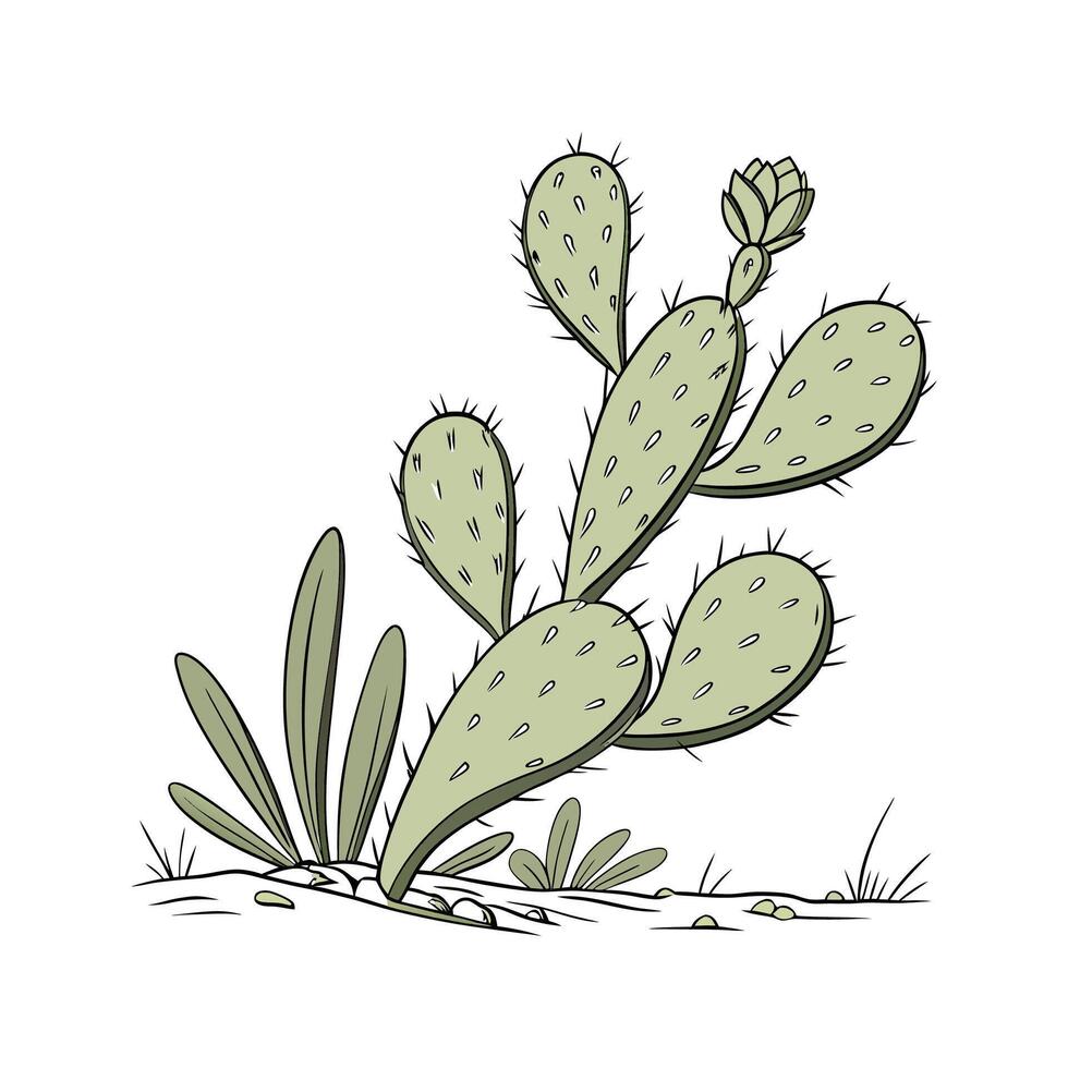 Stylish Beavertail Cactus on White Canvas vector