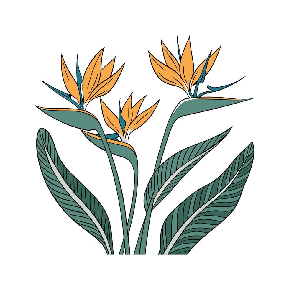 Lovely Bird of Paradise on White Canvas vector