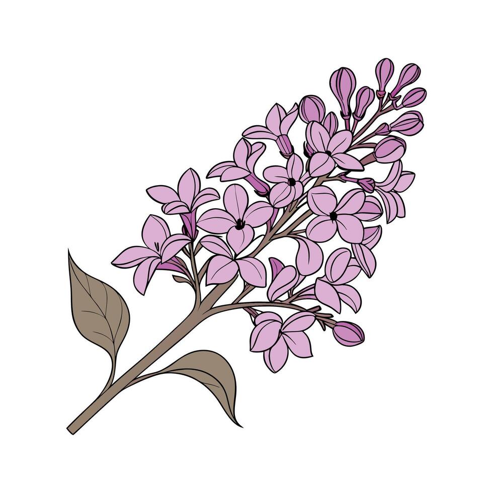 Vibrant Bloomerang Lilac on White Surface vector