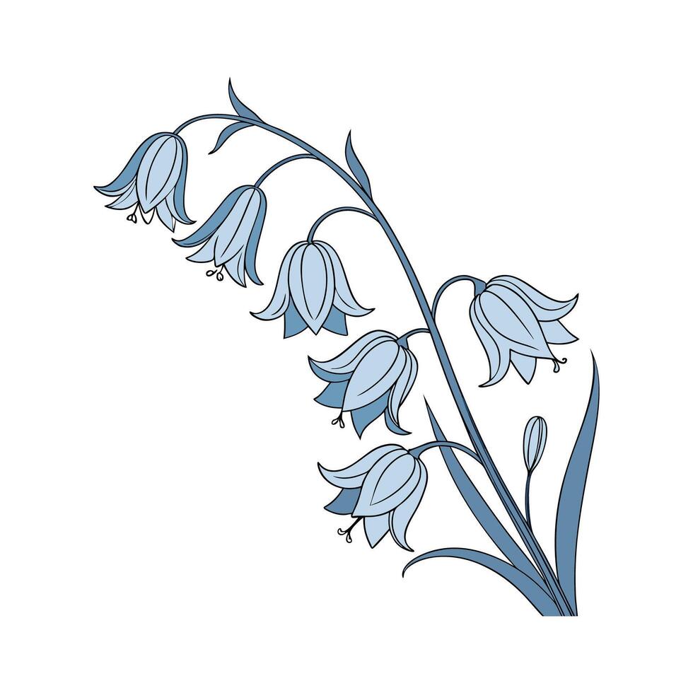 Vibrant Bluebell on White Surface vector