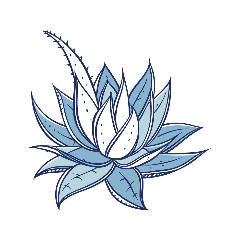 Stylish Blue Echeveria on White Canvas vector