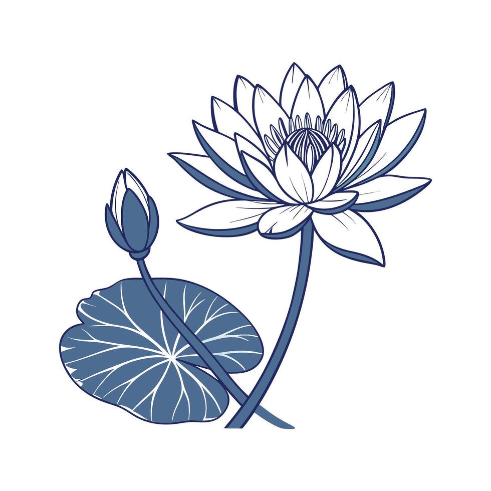 Blue Lotus Nymphaea on Bright White vector