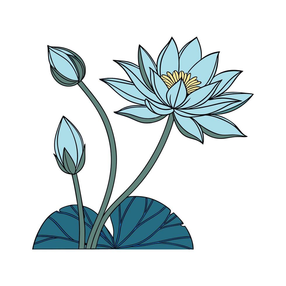 Stylish Blue Lotus Nymphaea on White Canvas vector