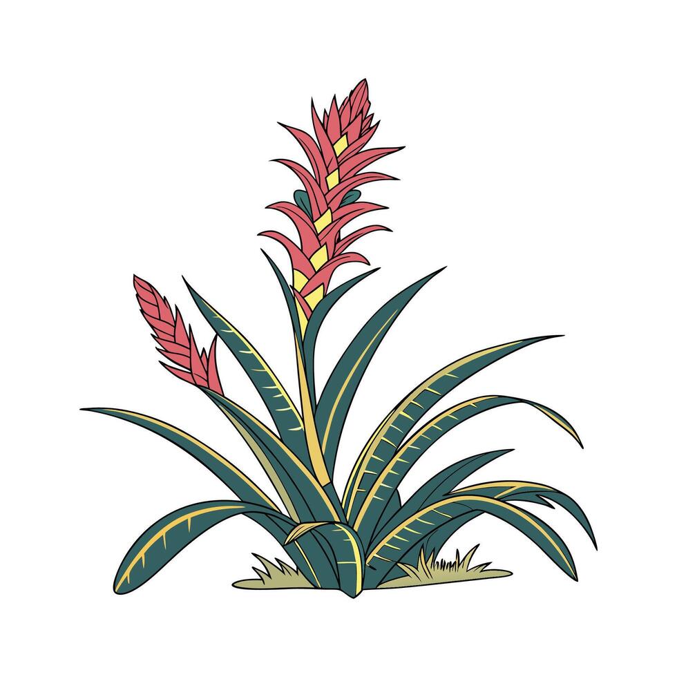 Vibrant Bromeliad on White Surface vector