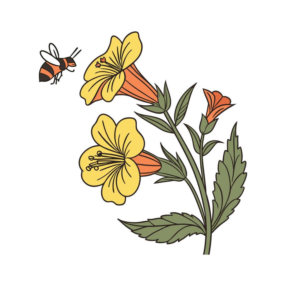 Stylish Bumblebee Plant on White Canvas vector