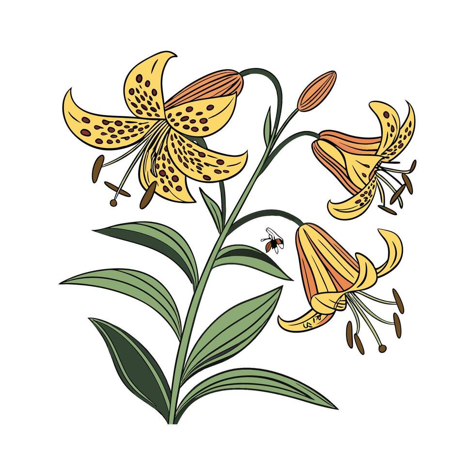 Vibrant Bumblebee Plant on White Surface vector