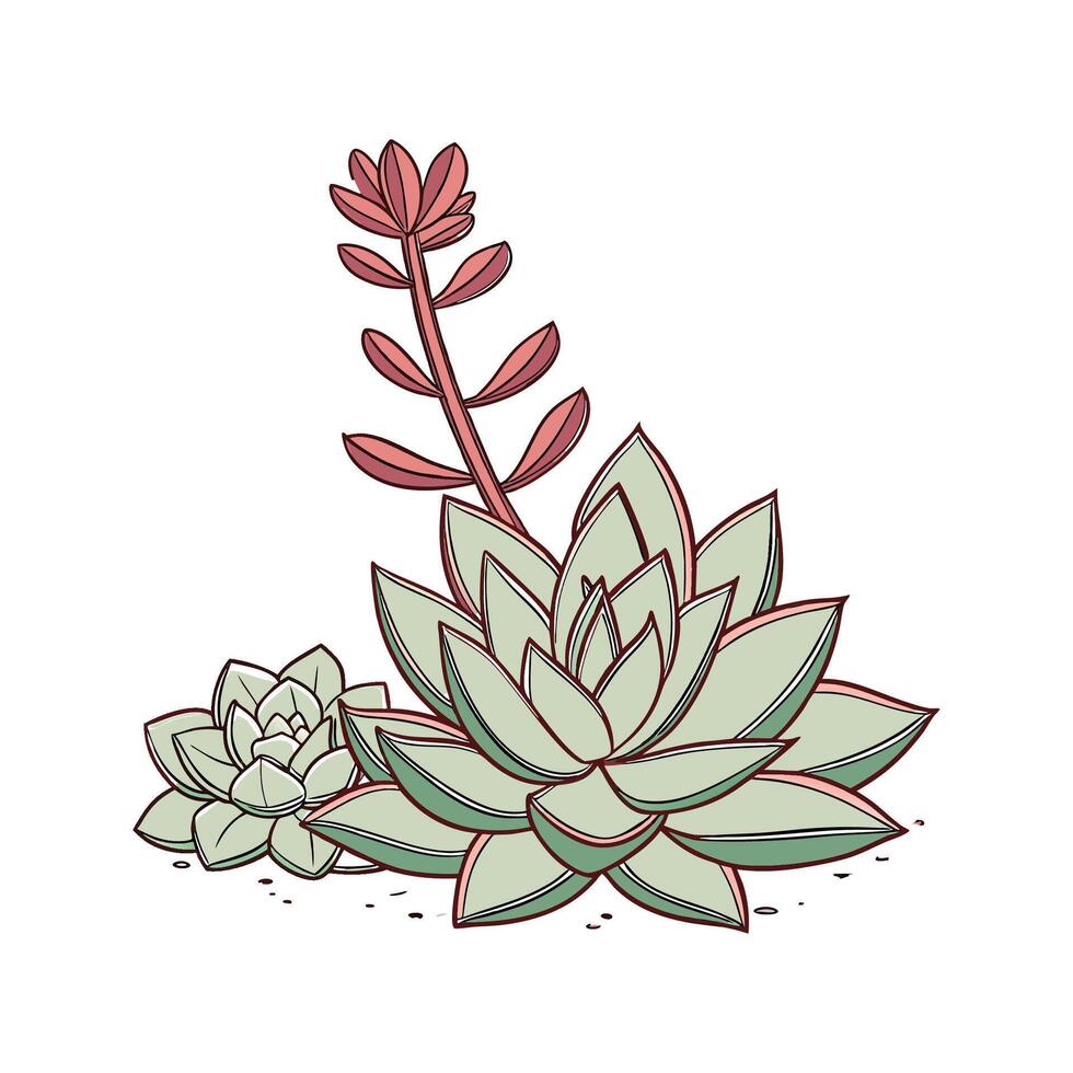 Stylish Burrito Plant on White Canvas vector