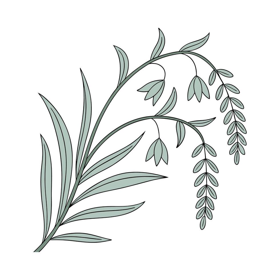 Vibrant Burros Tail on White Surface vector