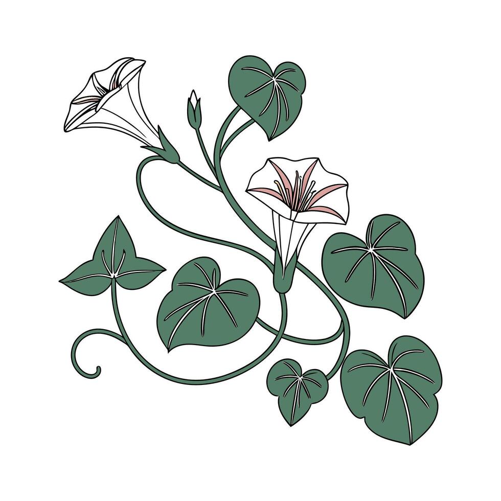 Elegant Ceropegia Candlestick Artwork for Interiors vector
