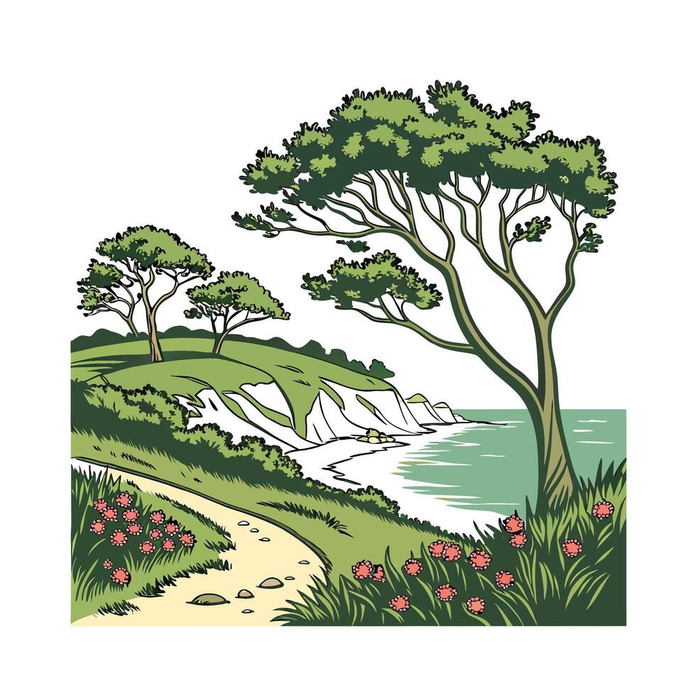 Charming Cape Primrose Plant Illustration for Decor vector