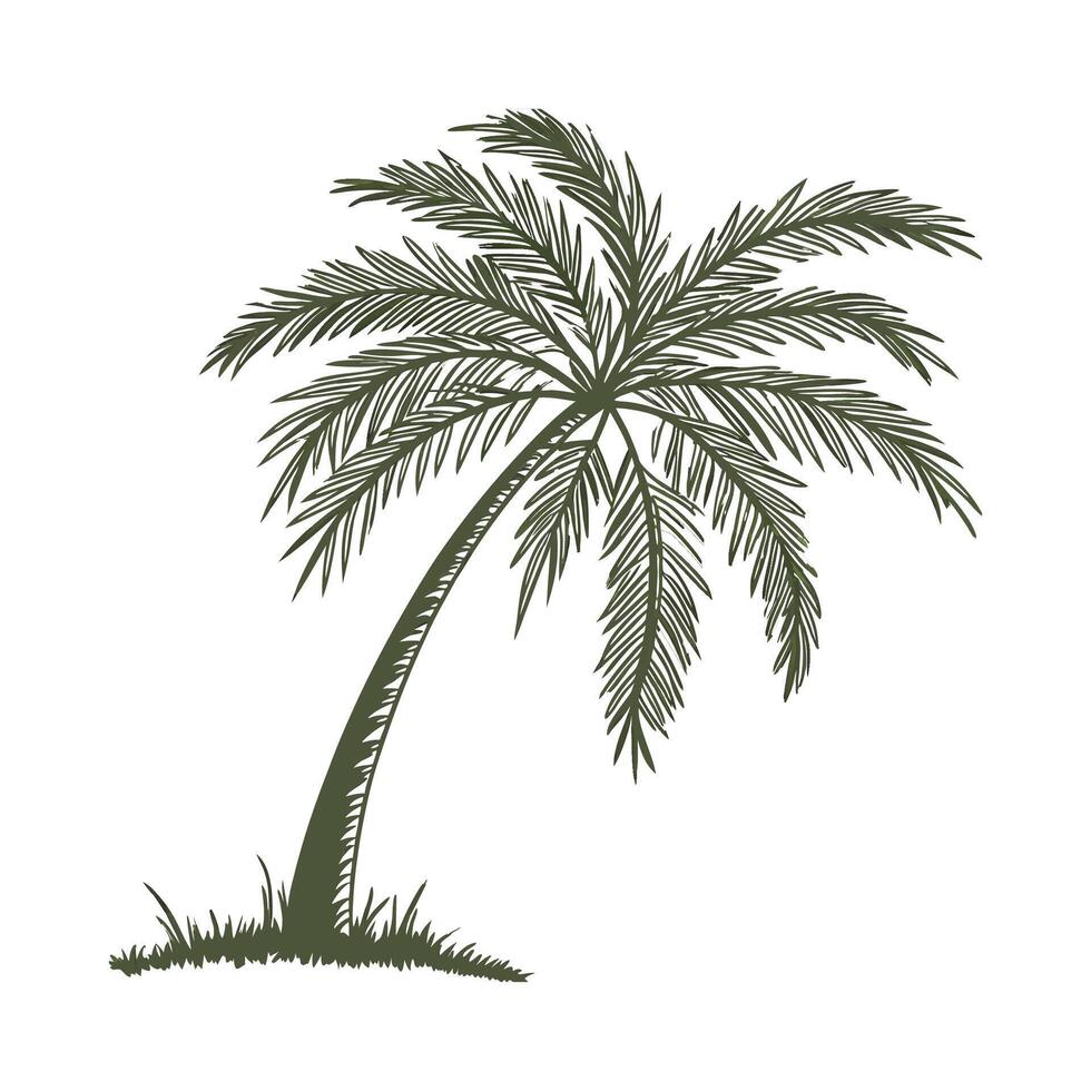Charming Carnauba Palm Plant Illustration for Decor vector