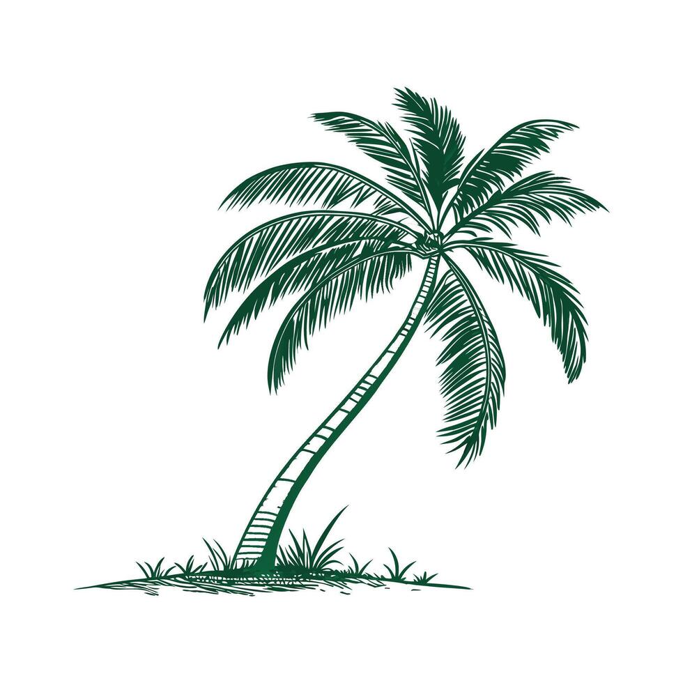 Vibrant Carnauba Palm Leaf Design for Artwork vector