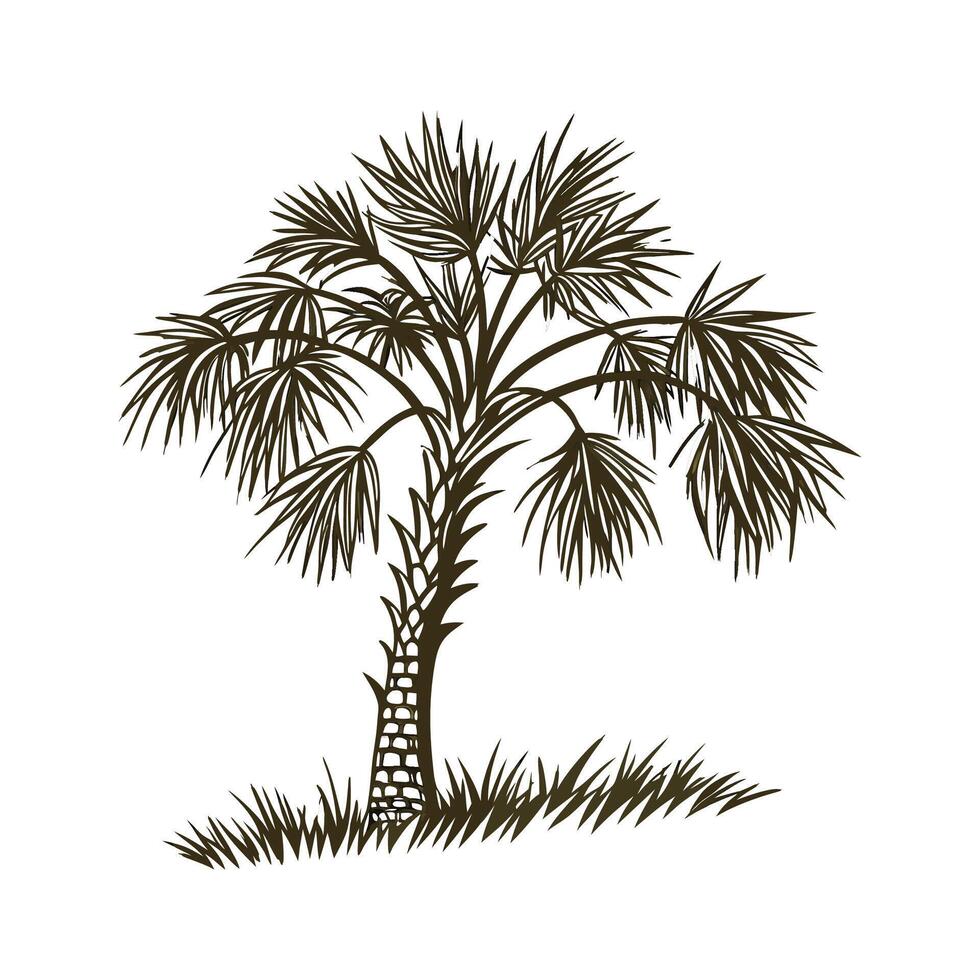 Elegant Carnauba Palm Artwork for Beautiful Interiors vector