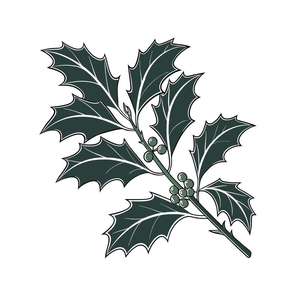 Charming Aspidistra Elatior Plant Illustration vector